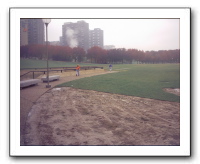 stl010