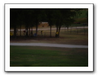 Emilie's Soccer Regionals-WI-2006 113