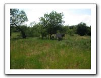 Family Reunion in Texas - July 2009 402