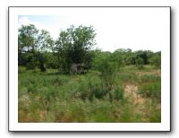 Family Reunion in Texas - July 2009 404