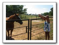 Family Reunion in Texas - July 2009 413