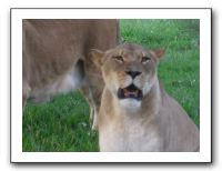 KC Zoo Party - Aug 2009 105