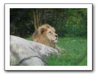 KC Zoo Party - Aug 2009 107