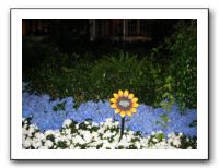 Alex's 21st Birthday in Las Vegas 030