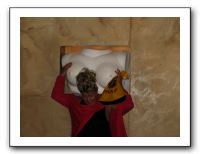 Alex's 21st Birthday in Las Vegas 493