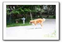 Family and Friends - Spring 2009 115