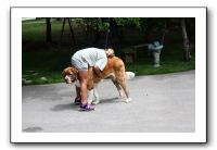 Family and Friends - Spring 2009 121