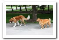 Family and Friends - Spring 2009 126