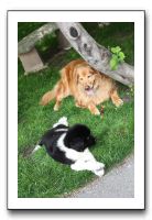 Family and Friends - Spring 2009 050