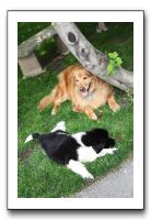 Family and Friends - Spring 2009 051