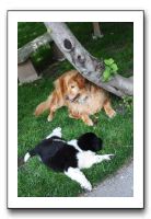 Family and Friends - Spring 2009 052