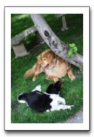 Family and Friends - Spring 2009 053