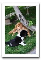 Family and Friends - Spring 2009 054