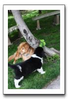 Family and Friends - Spring 2009 055