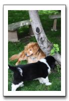 Family and Friends - Spring 2009 056