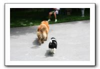 Family and Friends - Spring 2009 059