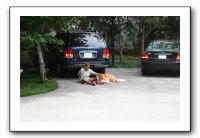 Family and Friends - Spring 2009 061