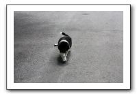 Family and Friends - Spring 2009 082