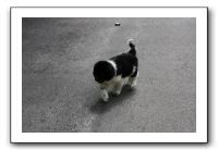 Family and Friends - Spring 2009 083