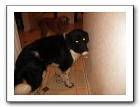 Thanksgiving 2009 019