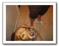 Thanksgiving 2009 021