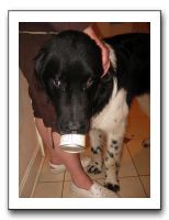 Thanksgiving 2009 024