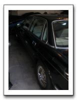 Thanksgiving 2009 494