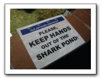 Thanksgiving 2009 582