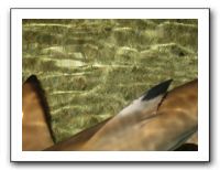 Thanksgiving 2009 587