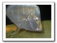 Thanksgiving 2009 592