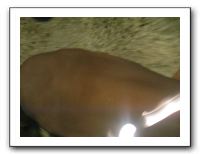 Thanksgiving 2009 596