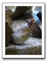 Thanksgiving 2009 599