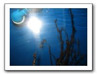 Thanksgiving 2009 605