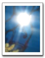 Thanksgiving 2009 608