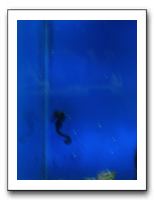 Thanksgiving 2009 610