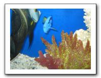 Thanksgiving 2009 613