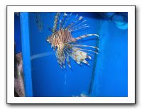 Thanksgiving 2009 614