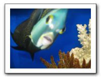 Thanksgiving 2009 615