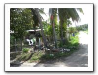 Southwest HS Alumni Cruise - Jan 2010 327