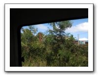 Southwest HS Alumni Cruise - Jan 2010 330