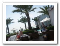 Spring Break Cruise - March 2010 2312