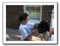 Cinco De Mayo Party 2010 031