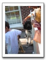 Cinco De Mayo Party 2010 033