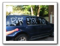 Emilie's Junior Prom 2010 047