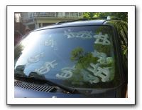 Emilie's Junior Prom 2010 057