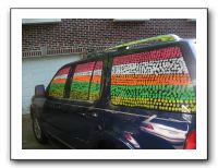 Emilie's Junior Prom 2010 061