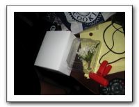 Emilie's Junior Prom 2010 028