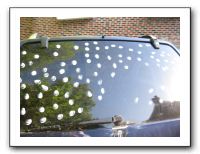 Emilie's Junior Prom 2010 052