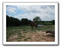Family Reunion in Texas - July 2010 1297