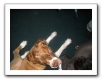 Family Dinner Night - 06-09-10 005